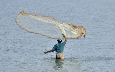 fishing net